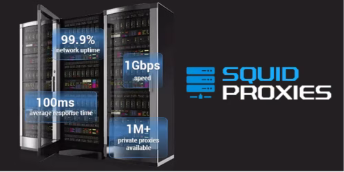 SquidProxies Best Dedicated Proxies for Social Media Automation